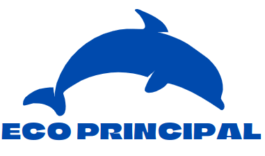 Ecoprincipal International (NPO)
